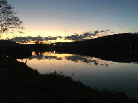 Die Mosel kurz hinter Trier