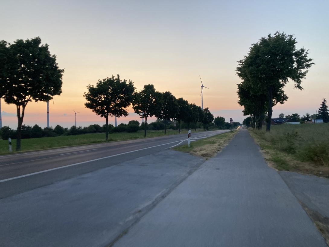 Landstraße und Radweg gesäumt von Bäumen in der Abenddämmerung