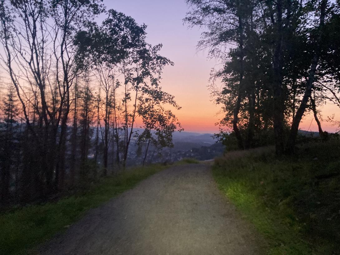 Morgenrot im Vordergrund ein mit Bäumen gesäumter abschüssiger Schotterweg